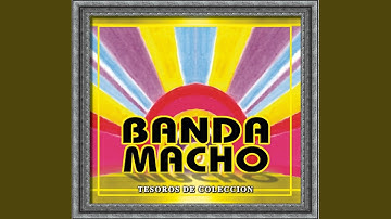 Mis Ojos Te Adoraban (My Eyes Adored You)