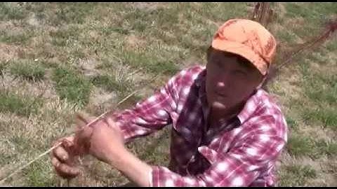 Longnetting rabbit control