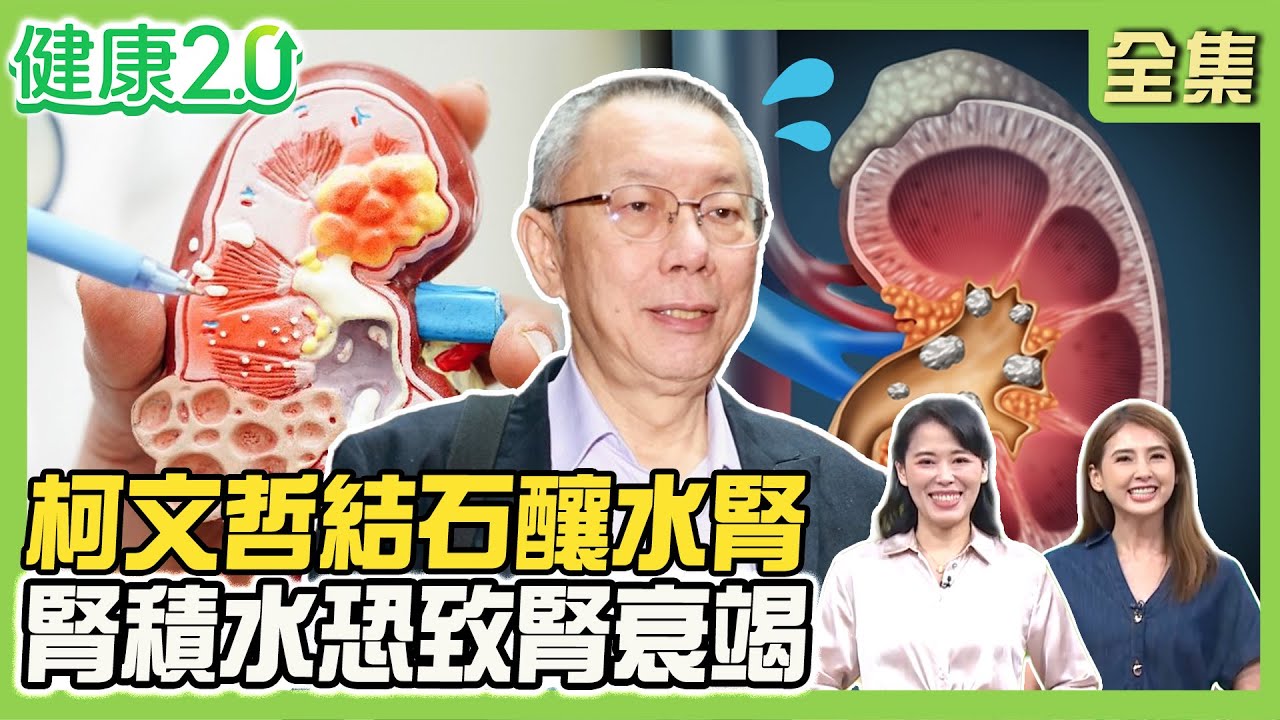柯文哲腰痛竟輸尿管結石釀水腎！腎積水恐致腎衰竭！狂喝可樂養出35顆結石 檸檬酸防結石！護腎4大營養素！健康2.0 20250920【完整版】#陳欣湄#韋汝#陳俊宇#黃賢祥#吳明珠#許瓊月#雷議宗