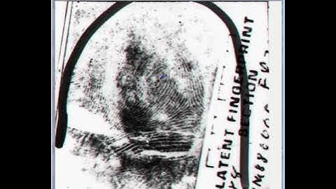 Fingerprint Alignment using Video ToolBox Premier