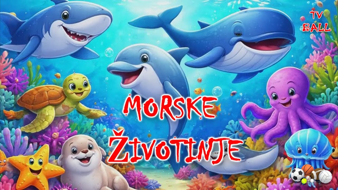 Morske životinje | Učimo kroz pesmu 🌊