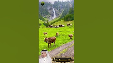 Surah Al Infitar (The Cleaving) سورة الإنفطار  | Part 03 #viral #quran  @DawateIslami