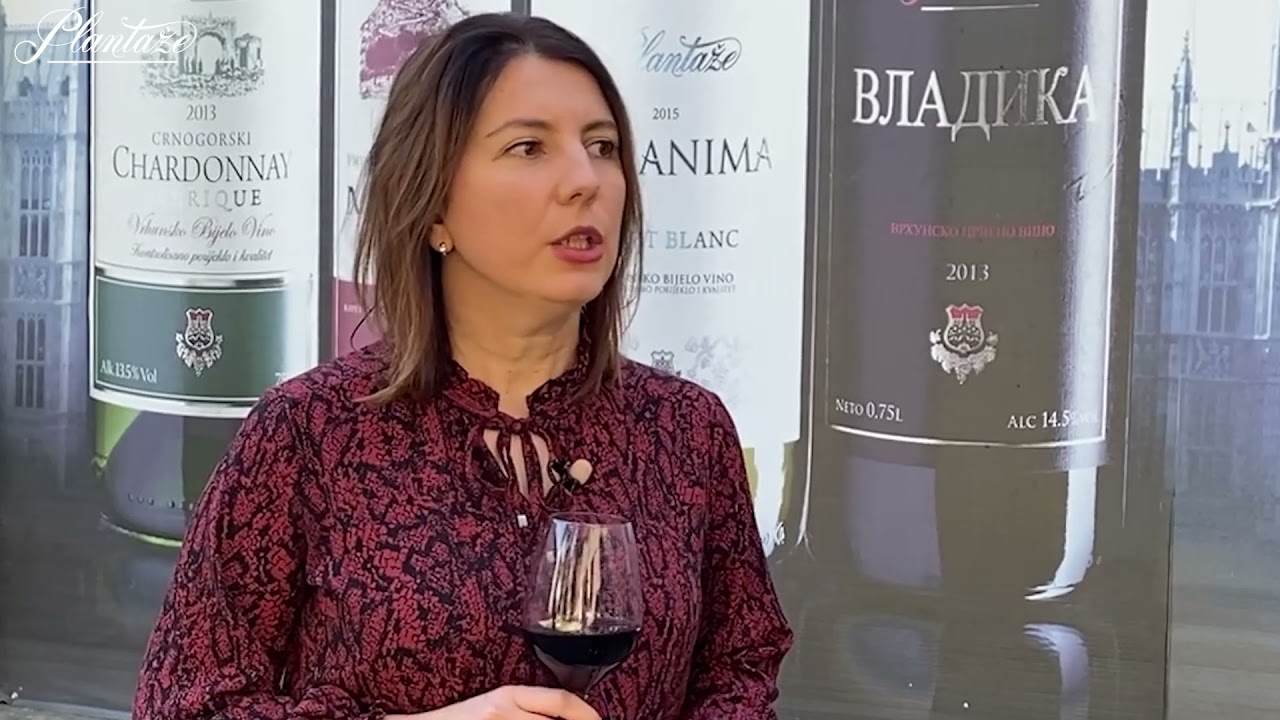 Stari podrum - Istorijat