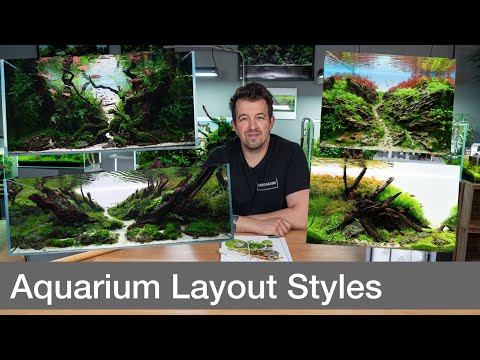 Video: Aquascape-Design-Ideen: Verschiedene Arten von Aquascapes