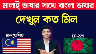 মালয়েশিয়ান ভাষার সাথে বাংলা ভাষার দেখুন কত মিল | EP 229 | Easy Bangla To Malay | বাংলা টু মালাই