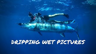 Spearfishing MARLIN & BLUEFIN TUNA - Australia