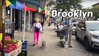 Sunset Park Brooklyn NY - New York City Walking Tour 4k