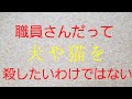 職員さんだって犬猫を殺したいわけではないのです。