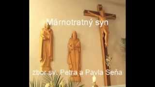 Márnotratný syn - zbor sv. Petra a Pavla Seňa