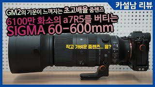 상남자의 렌즈! 시그마 60-600mm F4.5-6.3 DG DN OS with Sony a7R5, a1