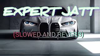EXPERT JATT | punjabi song | Nawab | punjabi hit songs | song 