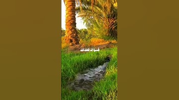 من سورة الانفطار #استخدم الصوت🎧 #قران_كريم #quran #اكسبلور #fypシ  #explore #viral #viralvideo