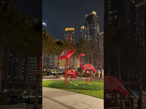 Dubai Creek harbour night view #song #love #remix #shortvideo #edms #edmtrap #danceanthems #edmworld
