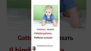 Как нужно ползать?! #итальянский  #школаитальянскогоязыка #итальянскийонлайн #shorts