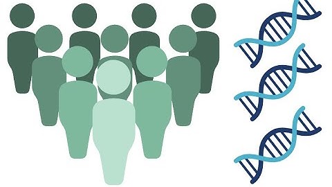 Lunch Hour Lecture | Genes, Depression, and Diversity