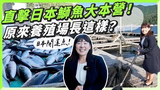 奈美惠社長出差實錄！一起去大分縣的鰤魚養殖場！