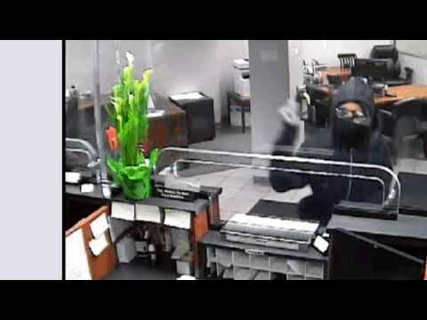 Cleveland bank robbers steal nearly $12,000