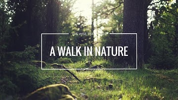 A walk in Nature | Zhiyun Crane V2 + Panasonic GH4 |