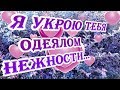 Я укрою тебя одеялом нежности... Засыпай, Любимочка!