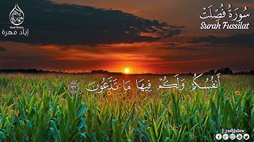 سورة فصلت كاملة تلاوة هادئة تريح الأعصاب❤️قرآن كريم❤️ بصوت جميل جدا || القارئ إياد مهرة