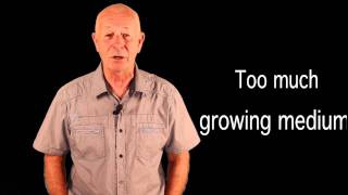 Ask Mike  Q4 CX Hydroponics | What size pot should I use for my coco coir run to waste system?
