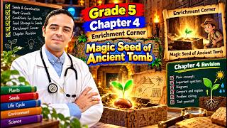 Grade 5 - Chapter 4 - Enrichment Corner (Magic Seed of Ancient Tomb) & Chapter 4 Revision