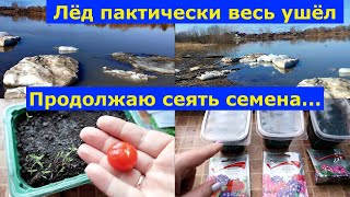 VLOG 09.04.2025г. Сею вербену первый раз. Наша весенняя река Кия.#семья #мотивация #рецепт #люди