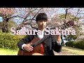 I played 'Sakura Sakura' because the cherry blossoms were beautiful | Classical Guitar