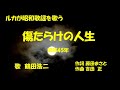 「傷だらけの人生」歌詞あり ヒロとルカ