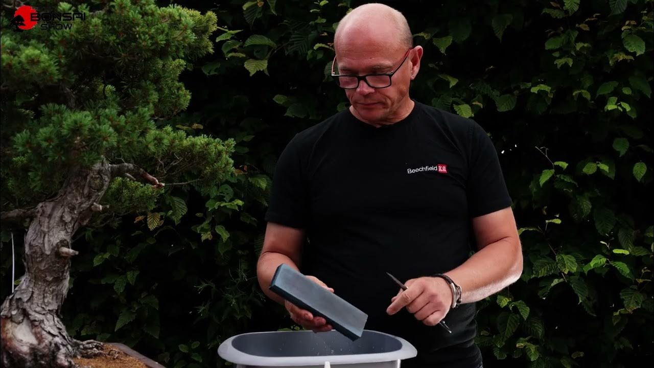 KNOWvember Bonsai Series 06 Maintaining and Sharpening Bonsai Tools