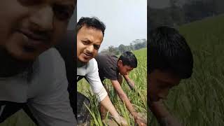 রহম কর আল্লাহ