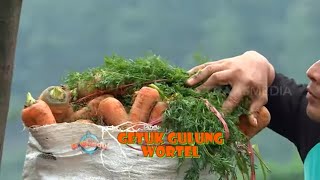 GETUK GULUNG WORTEL | JEJAK SI GUNDUL (15/11/21)