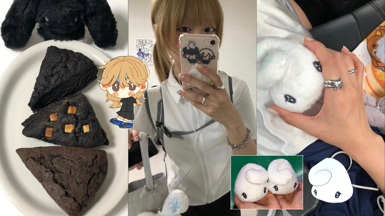 동대문가서 원단 사고 스콘 비교도 하고 조교까지 했어요