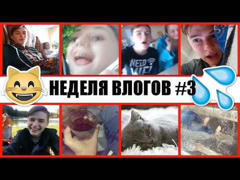 Новый Питомец \ Съемка Видео