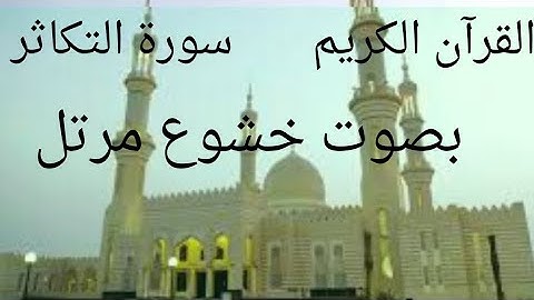 سورة التكاثر بصوت القارئ طه محمد فهد