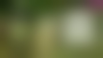 How to Assemble a HENDRICK