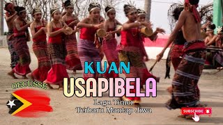 Download Lagu KUAN USAPIBELA - Musik Timor Terbaru | Oecusse Vibes MP3