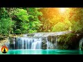 🔴 Study Music 24/7, Meditation, Focus, Concentration Music, Yoga, Calm Music, Relaxing Music, Study