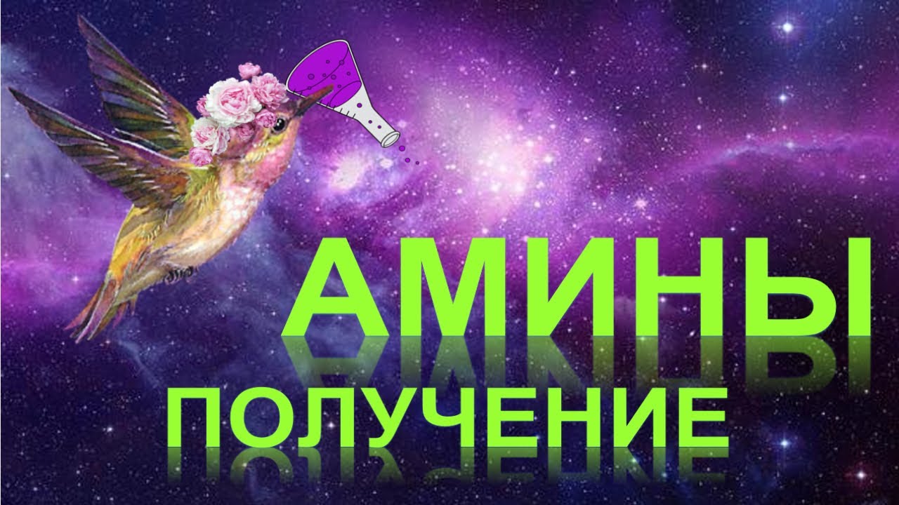 56. Амины (часть 2)