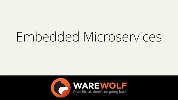Embedded Microservices in Warewolf