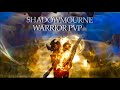 Wotlk shadowmourne warrior pvp  bgs  arena