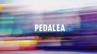 Los Claxons - Pedalea (Lyric Video)