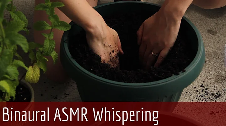 Tiny Little ASMR Gardening Video - Re potting Plants