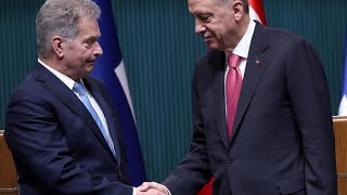 Erdogan donne son feu vert pour l'adhésion de la Finlande à l'Otan • FRANCE 24