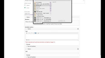 Adding Mathjax Quizes in ELMS