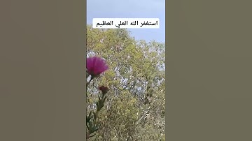 بصوت ماهر المعيقلي #ماهر_المعيقلي #islamicvideo #reels #islamicstatus #اذكار #quran #لايك #اكسبلور