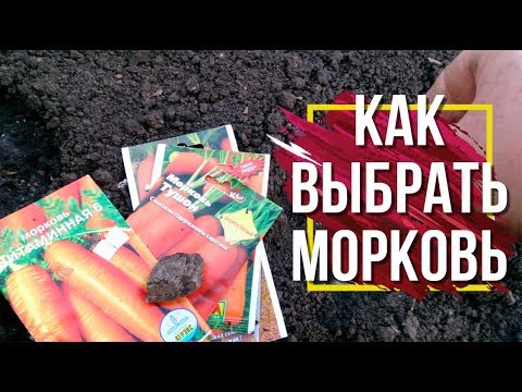 Какие Семена моркови САМЫЕ ЛУЧШИЕ ✔️ Топ Моркови От Garden zoo интернет магазин