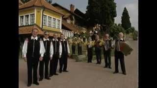 Video thumbnail of "Ansambel Lojze Slak / Dezelica sonca in grozdja."