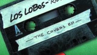 Watch Los Lobos More Than I Can Stand video
