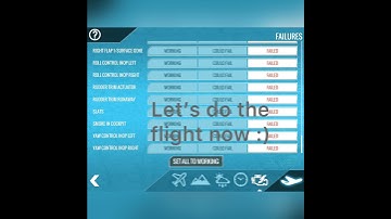 I enabled all failures in the flight simulator